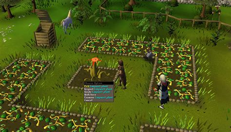 osrs limpwurt|osrs limpwurt root farming.